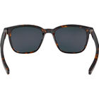 AXIN, Havana Shiny-Axis Polarized, hi-res image number null